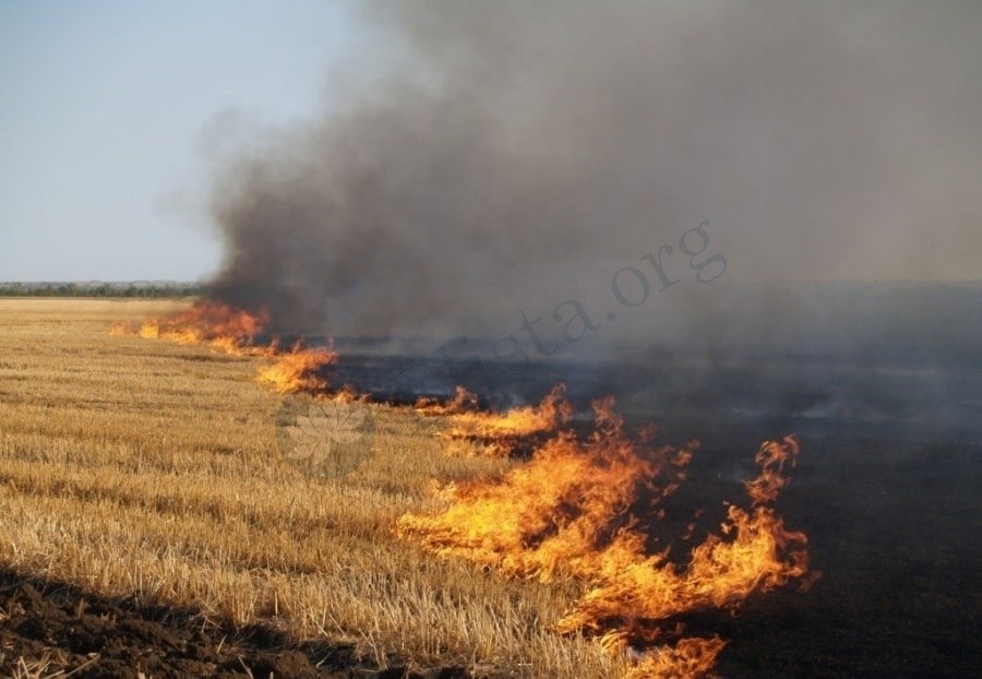 За прошедшую неделю на территории Калмыкии зарегистрировано 55 пожаров