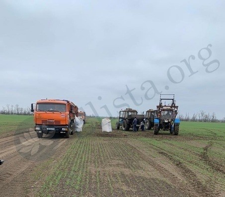 В хозяйствах Калмыкии начались весенне-полевые работы