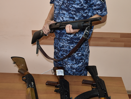 С начала года у жителей Калмыкии изъяли свыше 250 единиц оружия