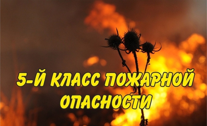 На территории Калмыкии ожидается чрезвычайная пожарная опасность 5 класса 