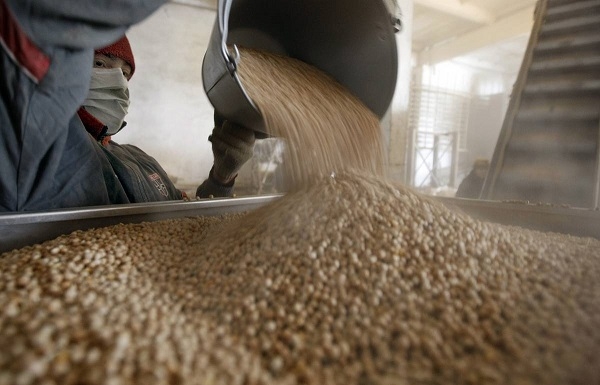 С начала ноября 2023 года с территории Калмыкии экспортировано более 300 тонн продуктов переработки зерна