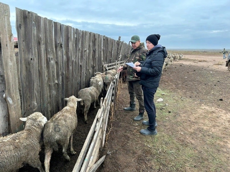 В Калмыкии продолжается инвентаризация государственных сельхозпредприятий