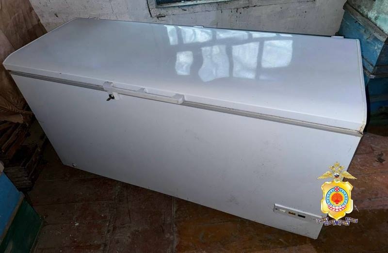 В Яшалтинском районе супруги украли морозильник-ларь