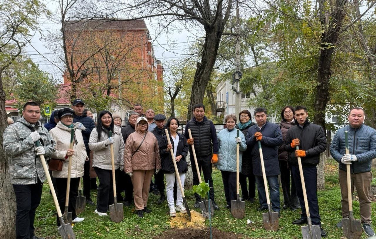 Жители Калмыкии участвуют в акции «Сохраним лес»