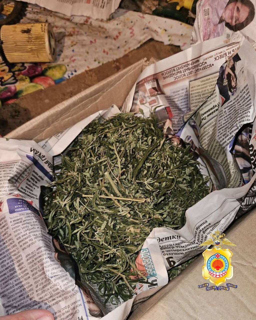 У жителя Калмыкии нашли растительный наркотик