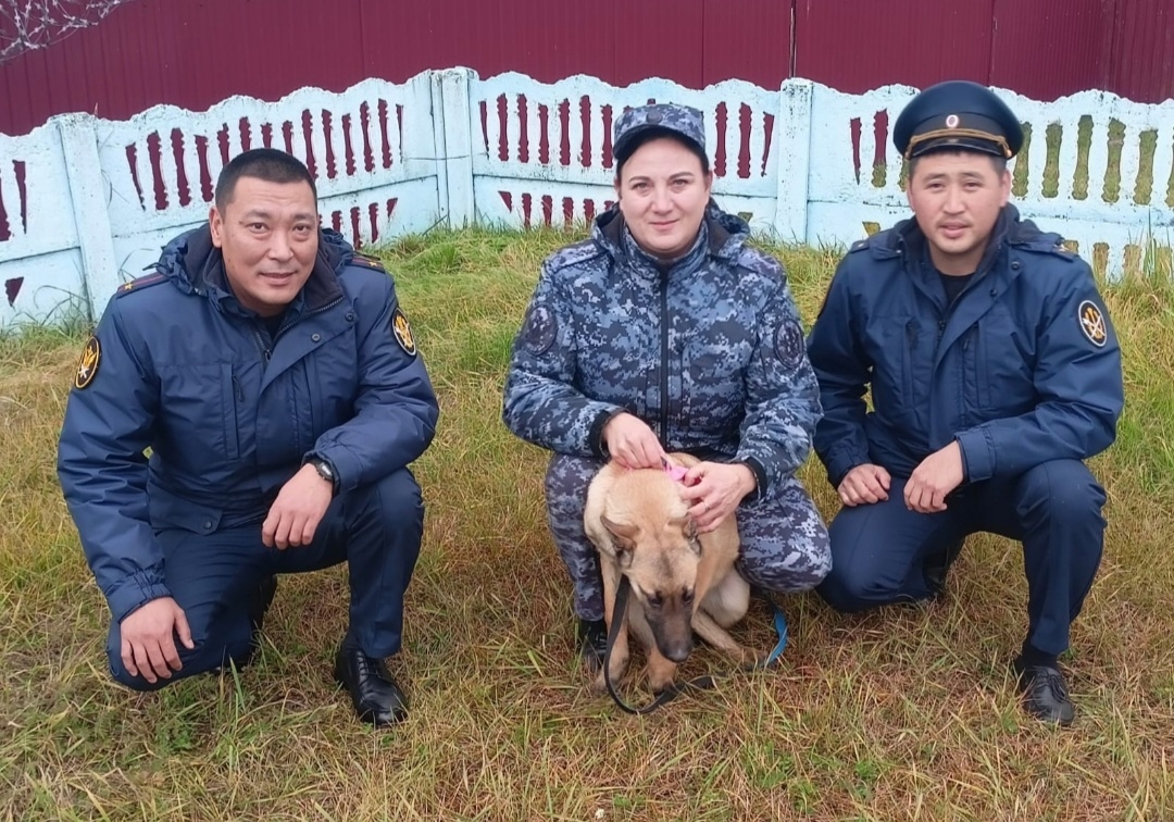 Кинологи УФСИН Калмыкии приняли в свою команду новых щенков служебных собак