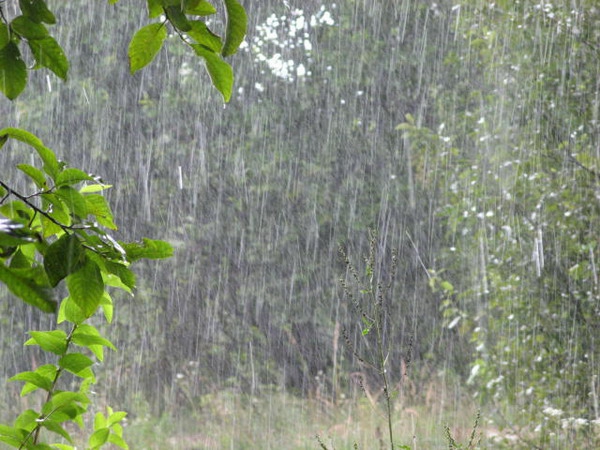 Местами по Калмыкии ожидаются дожди и усиление ветра