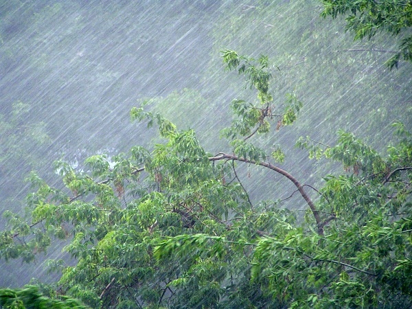 Медлительный циклон грозит всей Калмыкии дождями