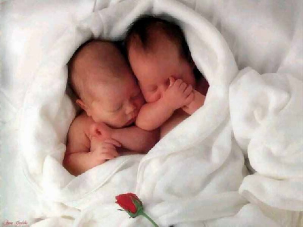 В Ики-Бурульском районе родились две пары двойняшек