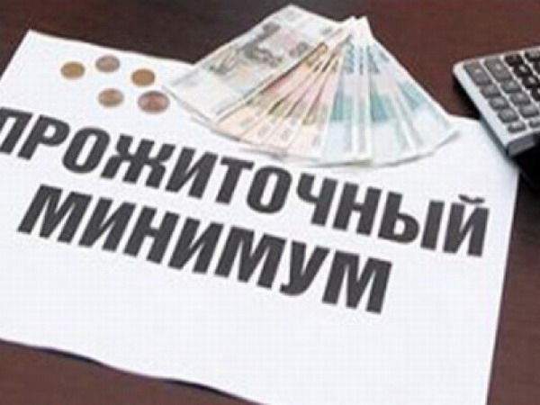 Прожиточный минимум пенсионера составит 7667 руб.