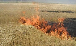 Калмыкия получит субсидию на приобретение пожарной техники