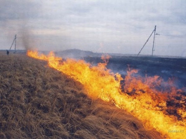 В Калмыкии произошло уже более 100 степных пожаров