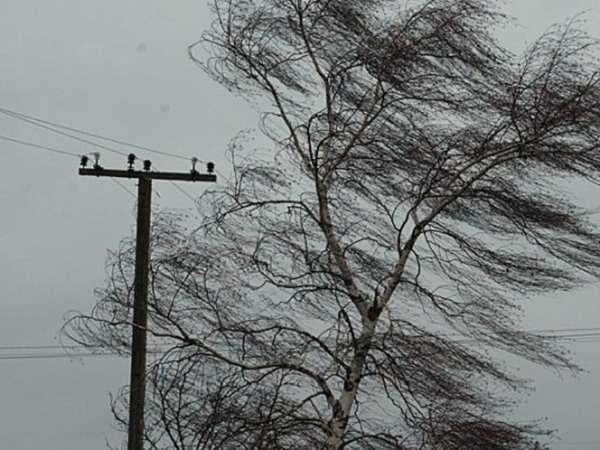 В Калмыкии ожидаются усиление ветра и сильные дожди