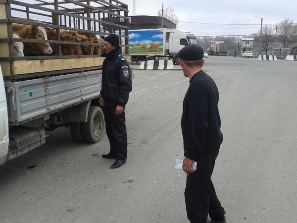 В Калмыкии работают ветеринарно-полицейские посты