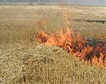 В Республике Калмыкия сохраняется пожароопасная ситуация